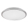 Rabalux - Plafoniera LED LED/45W/230V 4000K argento 48 cm