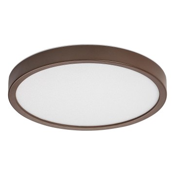 Rabalux - Plafoniera LED per bagno LED/18W/230V 3000/4000/6000K Ø 29 cm IP44 marrone