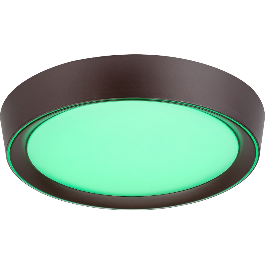 Rabalux - Plafoniera LED RGB dimmerabile LED/24W/230V + TC 3000-6000K