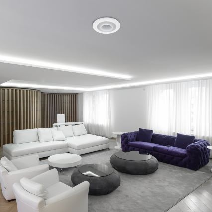 Rabalux - Plafoniera LED RGB dimmerabile LED/40W/230V 3000-6000K + telecomando