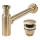 REA-A8586 - Sifone per lavabo con piletta CLICK-CLACK, diametro 6,4 cm, oro spazzolato