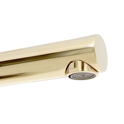 REA-B8803 - Miscelatore per lavabo TESS 31,5 cm, finitura oro