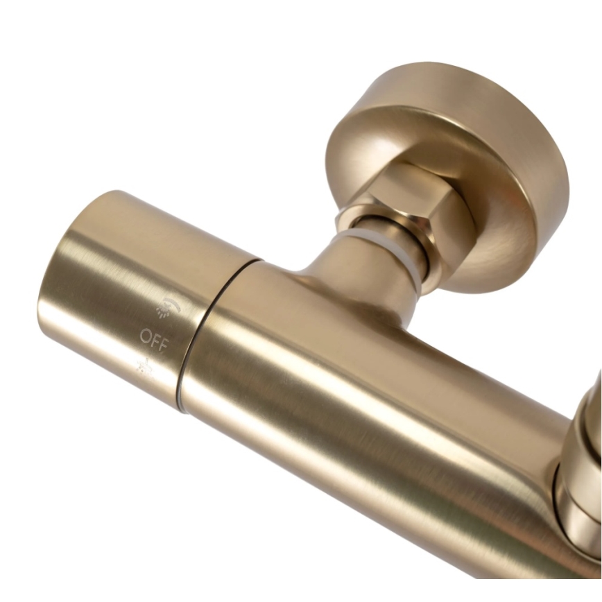 REA-P2323 - Set doccia con miscelatore termostatico PAROT, finitura in oro spazzolato