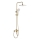 REA-P7841 - Set doccia con miscelatore ARGUS, finitura oro spazzolato