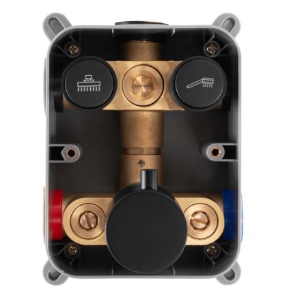 REA-P8551 - Set doccia con miscelatore termostatico da incasso LUNGO oro spazzolato
