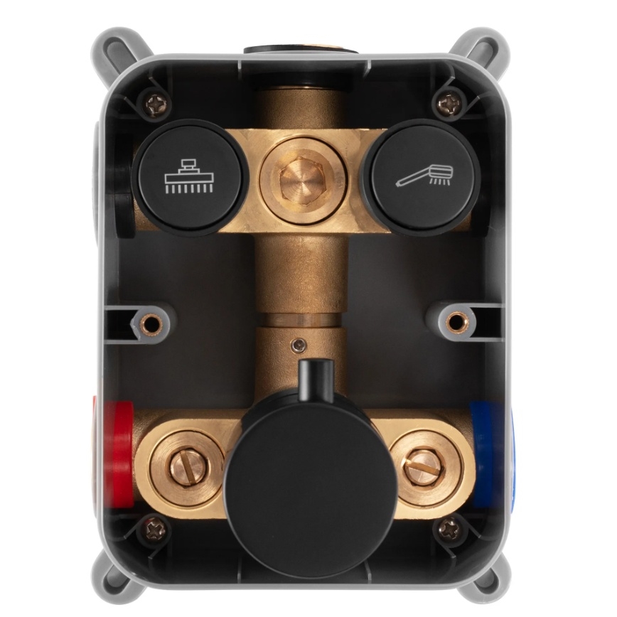 REA-P8551 - Set doccia con miscelatore termostatico da incasso LUNGO oro spazzolato