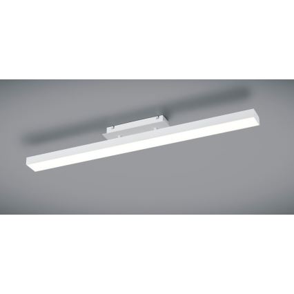 Reality - Plafoniera LED dimmerabile AGANO LED/18W/230V bianca