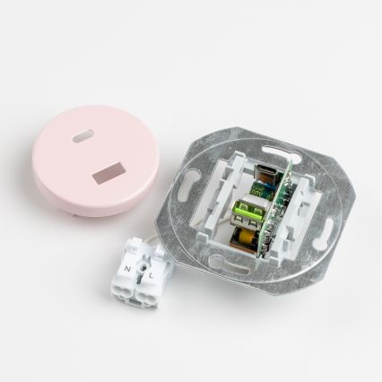 Reblig - Presa USB retro A+C con cornice, rosa antico