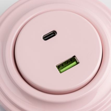 Reblig - Presa USB retro A+C con cornice, rosa antico