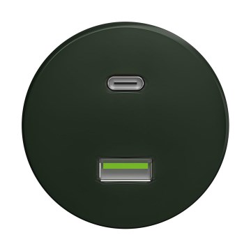 Reblig - Presa USB retrò A+C senza cornice verde