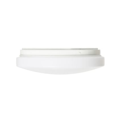 RED - Design Rendl - R12431 - Plafoniera LED SEMPRE LED/10W/230V