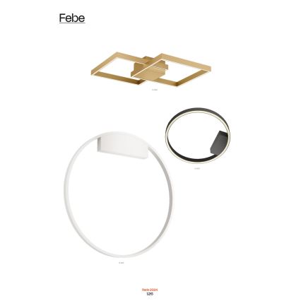 Redo 01-2817 - Applique a LED dimmerabile FEBE LED/24W/230V oro