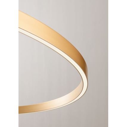 Redo 01-2835 - Applique da parete dimmerabile a LED FEBE LED/24W/230V, finitura dorata