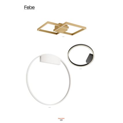 Redo 01-2835 - Applique da parete dimmerabile a LED FEBE LED/24W/230V, finitura dorata
