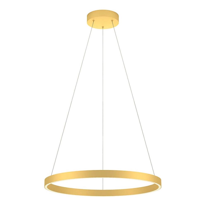 Redo 01-2865 - Lampadario a sospensione con filo LED dimmerabile FEBE LED/37W/230V oro