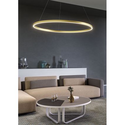 Redo 01-2865 - Lampadario a sospensione con filo LED dimmerabile FEBE LED/37W/230V oro