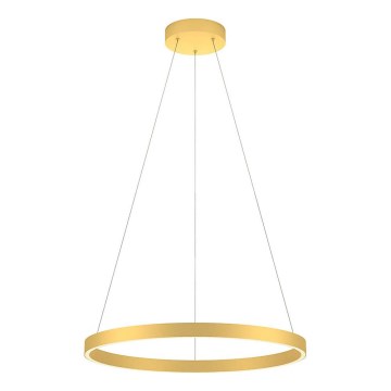 Redo 01-2865 - Lampadario LED dimmerabile a sospensione con cavo FEBE LED/37W/230V oro