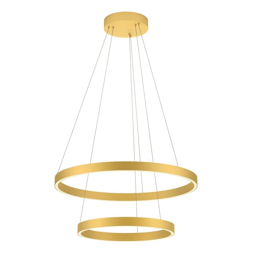 Redo 01-2889 - Lampadario a sospensione con filo LED dimmerabile FEBE LED/62W/230V oro