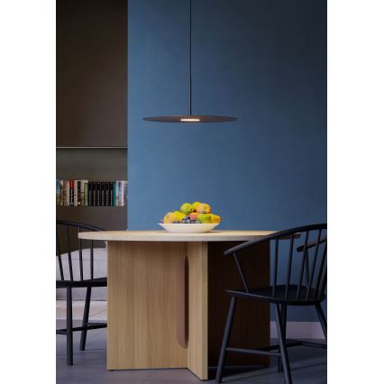 Redo 01-3047 - Lampadario a sospensione su cavo LAKE LED 13W/230V CRI 90 Ø 50 cm nero