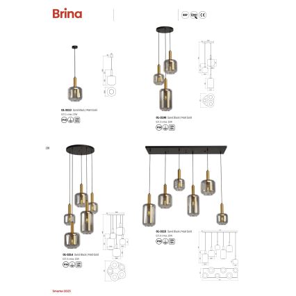 Redo 01-3215 - Lampadario a sospensione con filo BRINA 6xE27/23W/230V