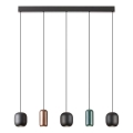 Redo 01-3481 - Lampadario a sospensione con filo BOOM 5xGU10/10W/230V nero/verde/marrone