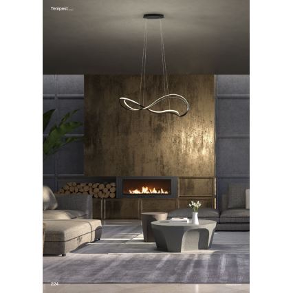 Redo 01-3599 - Lampadario LED dimmerabile a sospensione con cavo TEMPEST LED/58W/230V nero