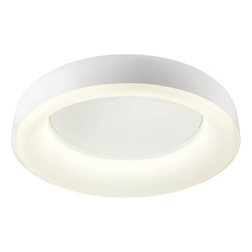 Redo 01-3941 - Plafoniera a LED DIP/40W/230V 2700/3000/4000/5000/6500K CRI 90 Ø 62,4 cm bianca
