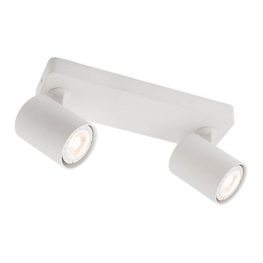 Redo 04-469 - Luce Spot CAMEO 2xGU10/50W/230V