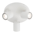 Redo 04-471 - Faretto CAMEO 3xGU10/35W/230V bianco