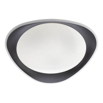 Redo 05-922 - Plafoniera LED VERENA LED/24W/230V antracite