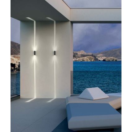 Redo 90423 - LED Applique da esterno ACE 2xLED/5,84W/230V 3000K IP54