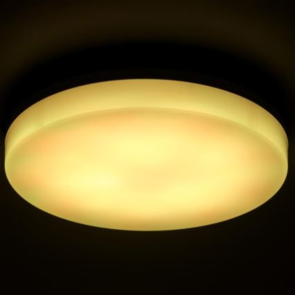 Plafoniera da bagno dimmerabile LED RGBW LED/20W/230V Wi-Fi IP44 bianco