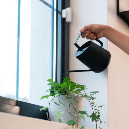Sensore intelligente per porte e finestre 2x AAA