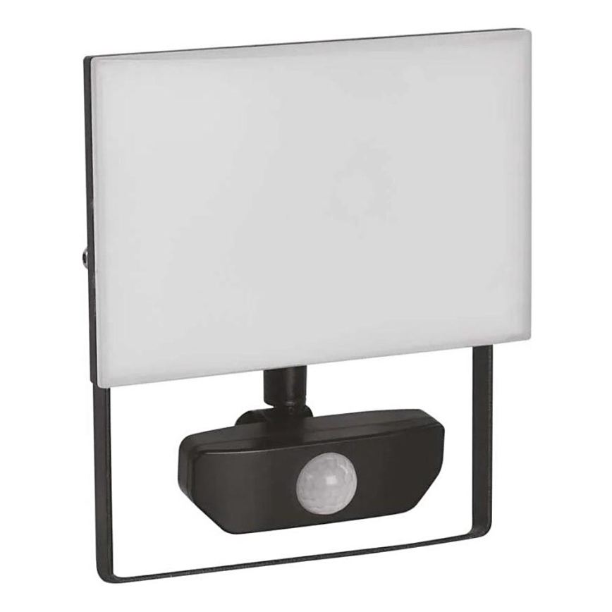 Riflettore LED con sensore TAMBO LED/30W/230V 4000K IP54