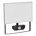 Riflettore LED con sensore TAMBO LED/50W/230V 4000K IP54