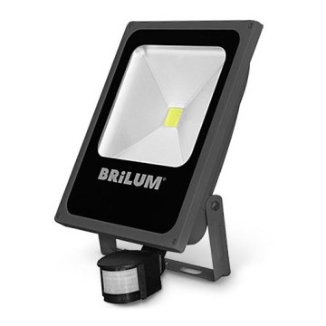 Riflettore LED da esterno con sensore LED/70W/230V IP65