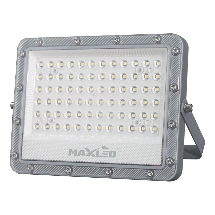 Riflettore LED da esterno LED/100W/230V 5000K IP65 grigio