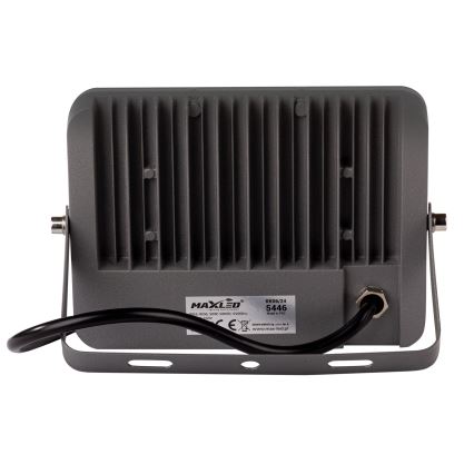 Riflettore LED da esterno LED/100W/230V 5000K IP65 grigio