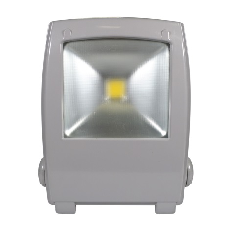 Riflettore LED FLOOD FE-N LED/30W/230V IP65