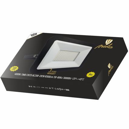 Nedes LF2025 - Riflettore LED LED/100W/230V IP65