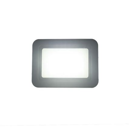 Riflettore LED LED/30W/230V 4000K IP65