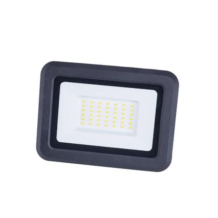 Riflettore LED LED/30W/230V 4000K IP65