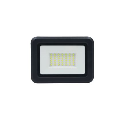 Riflettore LED LED/30W/230V 4000K IP65