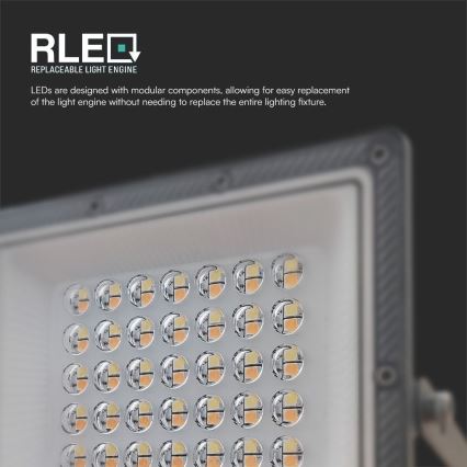 Riflettore LED LED/30W/230V IP65 3000/4000/6500K
