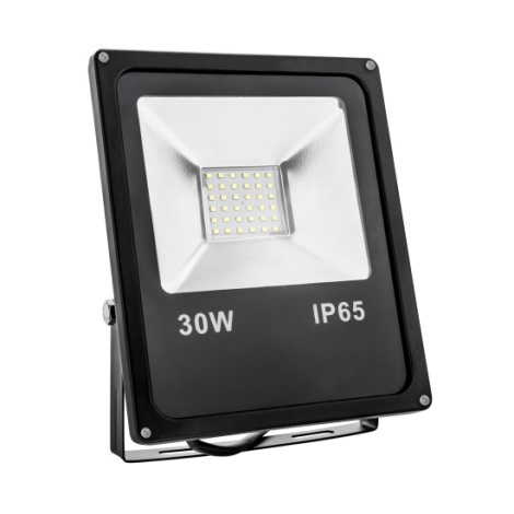 Riflettore LED NOCTIS ECO LED/30W/230V IP65
