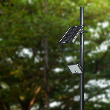Riflettore LED solare con sensore LED/30W/6,4V 4000K + telecomando