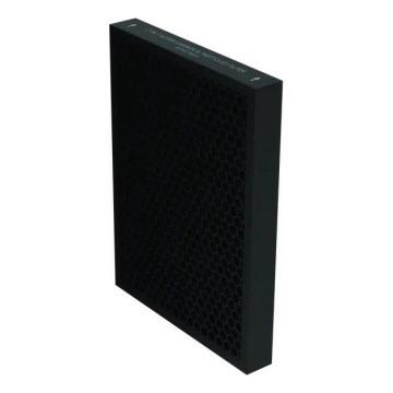 Rowenta - Filtro 2in1 per purificatore d'aria con carbone attivo PURE AIR nero