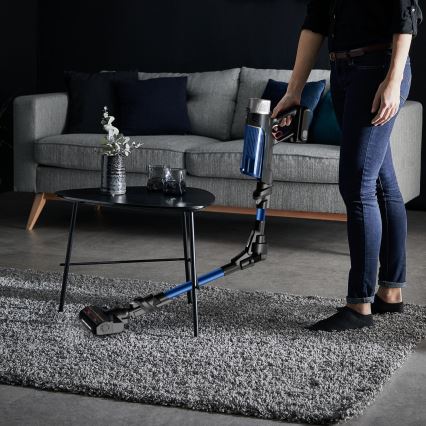 Rowenta - Scopa elettrica X-FORCE FLEX 250W/18V