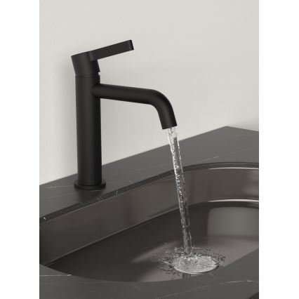 Sapho - Rubinetto del lavandino ICONIC 18,7 cm opaco nero
