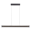 Schöner Wohnen 11316-18 - Lampada a sospensione dimmerabile su cavo LENA LED/32W/230V 105 cm nera